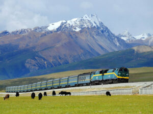 Qinghai-Tibet Railway Ride